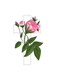 Cross with roses . Faith . PNG . Christian