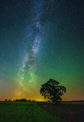 Night landscape with colorful Milky Way and an Oak tree © lukjonis