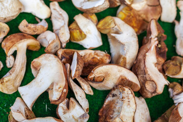 Steinpilze (Boletus edulis) auf einem Marktstand, Deutschland
