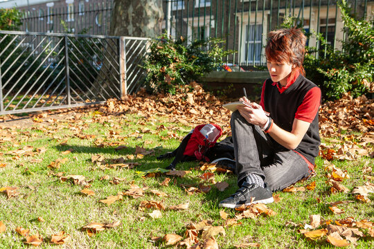 Teenage Students: Revision. A hard working pupil doing extra curricular study during recess. From a series of high school student related images.