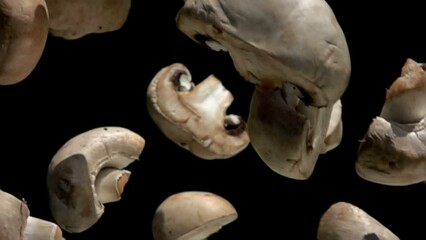 Close-up of white champignon mushroom halves flying down on the black background - Powered by Adobe