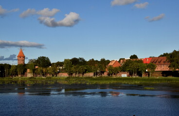 Grüne Sommerlandschaft bei der Marienburg in Malbork