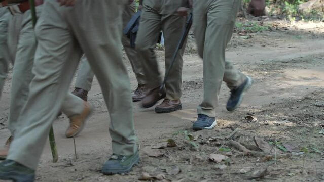 Forest officials patrolling in Jim Corbett national park in India to protect animals from poachers. HQ Apple Prores 60 FPS 4k footage.