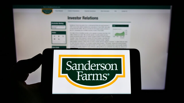 Stuttgart, Germany - 12-18-2021: Person holding mobile phone with logo of American poultry company Sanderson Farms Inc. on screen in front of web page. Focus on phone display.