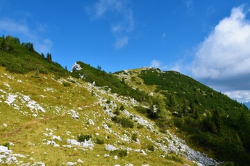 Alpine landscape with mugo pine bellow the top of Debela Pec mountain in Julian alps and Triglav...