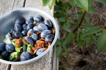 Composting : kitchen waste recycling in composter, sorting and bio fertilizer
