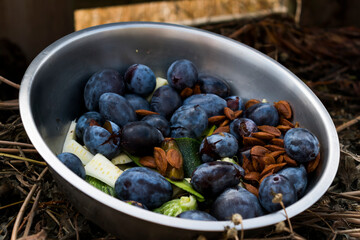 Composting : kitchen waste recycling in composter, sorting and bio fertilizer