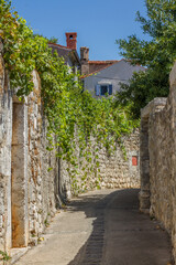Narrow street with old stone walls and vine leaves at Krk (capital), island of Krk, Croatia (vertical)