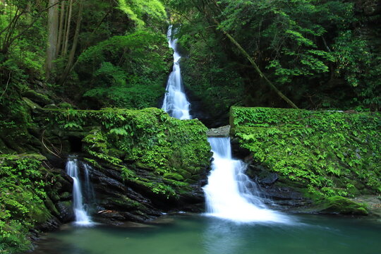 渓流の滝