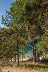 Beautiful seascape of pine trees and clear waters of the Mediterranean Sea near Baska at the island of Krk, Croatia