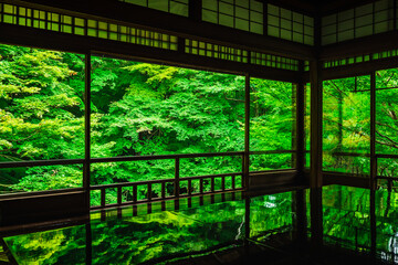 京都　瑠璃光院