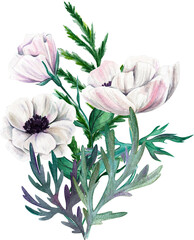 White anemone with leaves, Watercolor floral arrangement