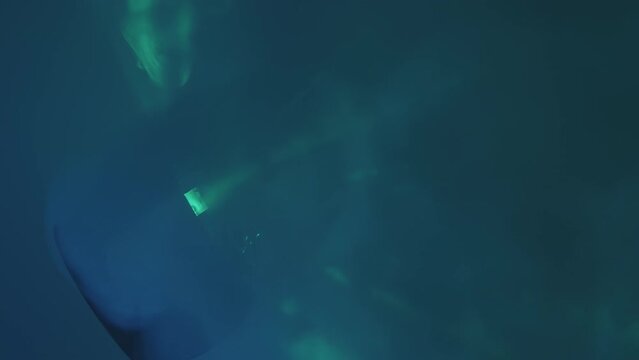 Color, RGB ball of color music shines with laser beams in the disco smoke. Concept of abstract background, dance floor, music and entertainment