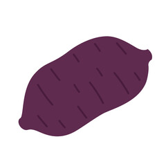 Roasted sweet potato. Roasted sweet potato on white background. Japanese Sweet potato.