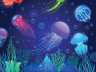 Fototapeta na wymiar Jellyfish background. Cartoon colorful transparent glowing underwater creatures floating together. Vector colorful poison sea jellyfish animals wallpaper