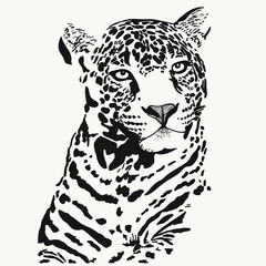 Vector Leopard