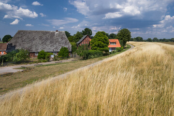 Elbdeich Trockenheit Sommer Niedersachsen