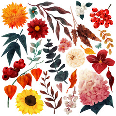 Fototapeta Autumn floral elements, fall garden, hand drawn watercolor illustration obraz