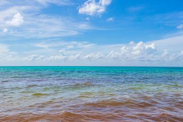 Tropical mexican beach clear turquoise water Playa del Carmen Mexico.