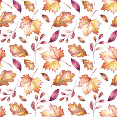 Fall leaves seamless pattern