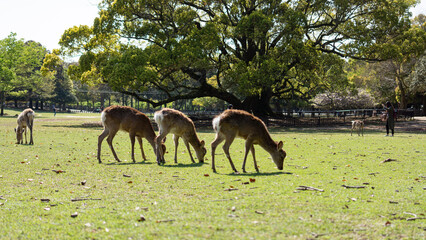 people having fun in the park
