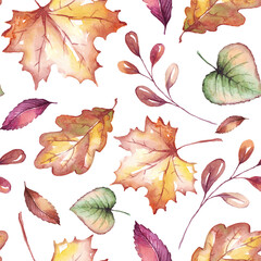 Fall leaves seamless pattern