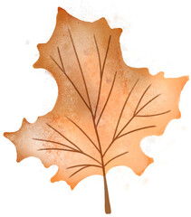 Autumn Hand Drawn Textured Leaf