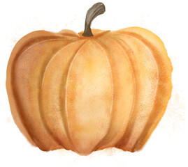 Pumpkin isolated 