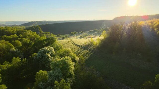 Aerial view of woodland with fresh green trees in early spring at sunset