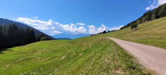 A road in the nature of Trentino Alto Adige.