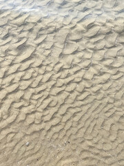 Seashore landscape. Summer holiday destination in Italy. Sandy beach in sunlight.
