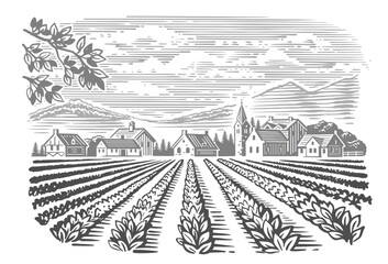 Farm sketch. Hand drawn landscape with plant