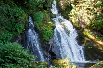 Fototapeta na wymiar Triberger Wasserfall