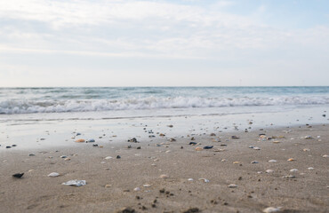 Seashore landscape. Summer holiday destination in Italy. Sandy beach in sunlight.