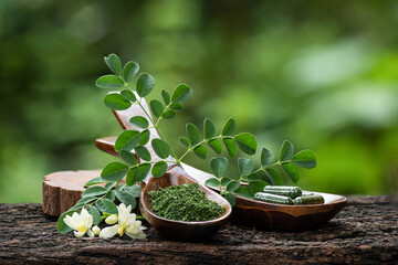 Moringa and powder on nature background.