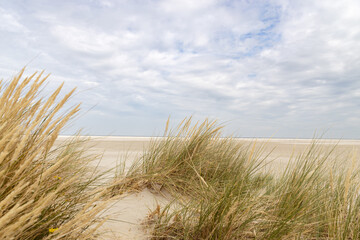 view through the dunes with a cloudy sky