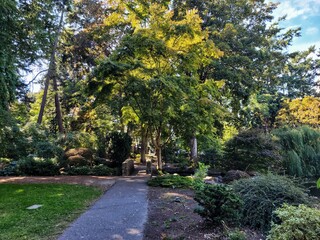 Pathway in the garden surrounded by trees and colorful flowers