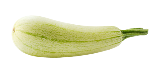 One large whole zucchini with short green stem without background. Fresh diet summer vegetable. Element for food packaging design, fair advertising layout. Seasonal harvest festival. Organic farming.
