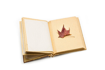 Hoja de otoño en las páginas en blanco de un cuaderno sobre un fondo blanco liso y aislado. Vista superior y de cerca. Copy space
