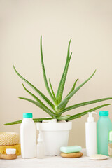 Aloe vera and composition of body care and beauty products on a beige background, vertically.