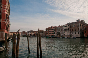 Naklejka premium Venezia