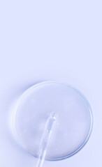 glass pipette serum gel in petri dish on a light background	
