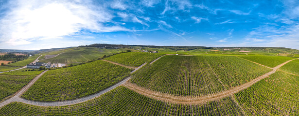 Aerial sunset view of Vineyards in the Champagne wine making region of France during the summer