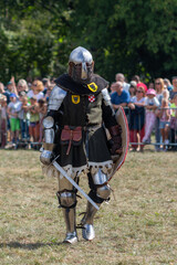 medieval knight with sword