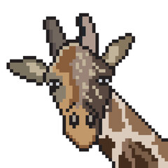 Pixel art with giraffe head isolated on white background.