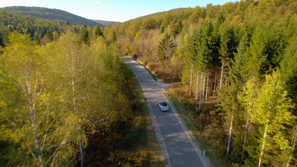 AERIAL: Car driving along paved road leading through forest in early fall colors