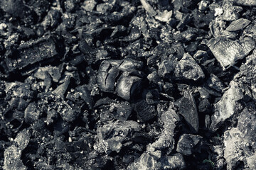 Coal is combustible black rock consisting mainly of carbonized plant matter found mainly in...