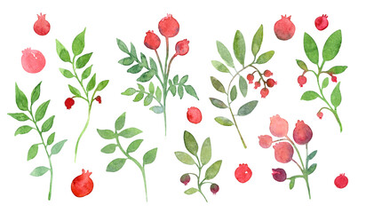 Set of watercolor hand drawn isolated elements on transparent background. Red berries and green leaves.