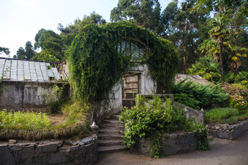 Fototapeta na wymiar Abandoned house in the garden