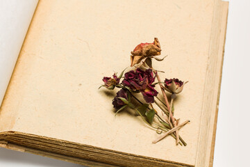 Rosas secas sobre un fondo cuaderno en blanco de papel antiguo marrón aislado. Vista superior y de cerca. Copy space